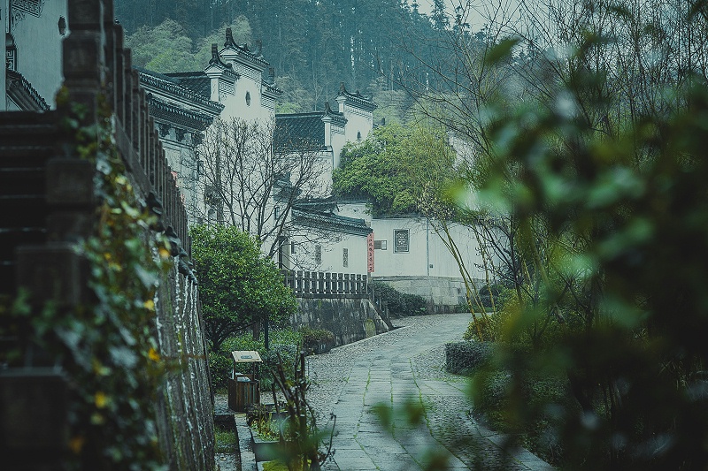 武義蝶來山居禪養溫泉 打造溫泉小鎮精致慢生活